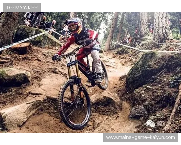 红牛年度总结:胜率突破80%