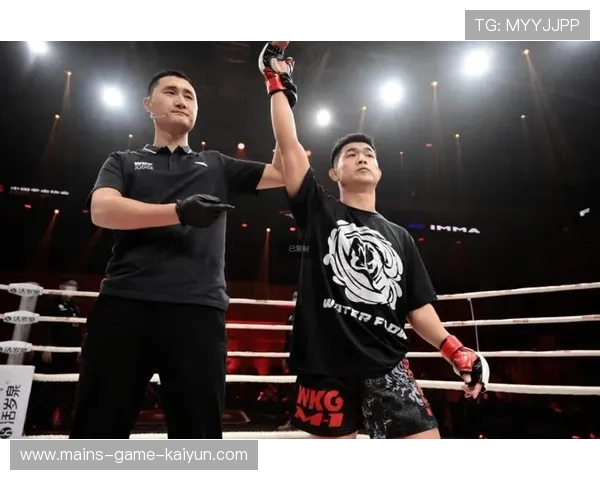 综合格斗赛事再出血案:官方紧急叫停比赛